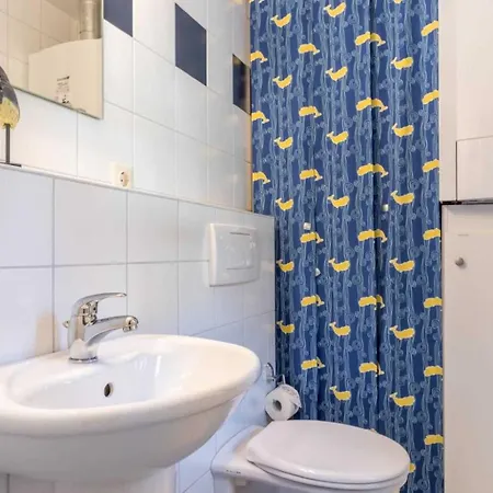 Hausteil Ringelsocke Id 358 Sankt Peter-Ording